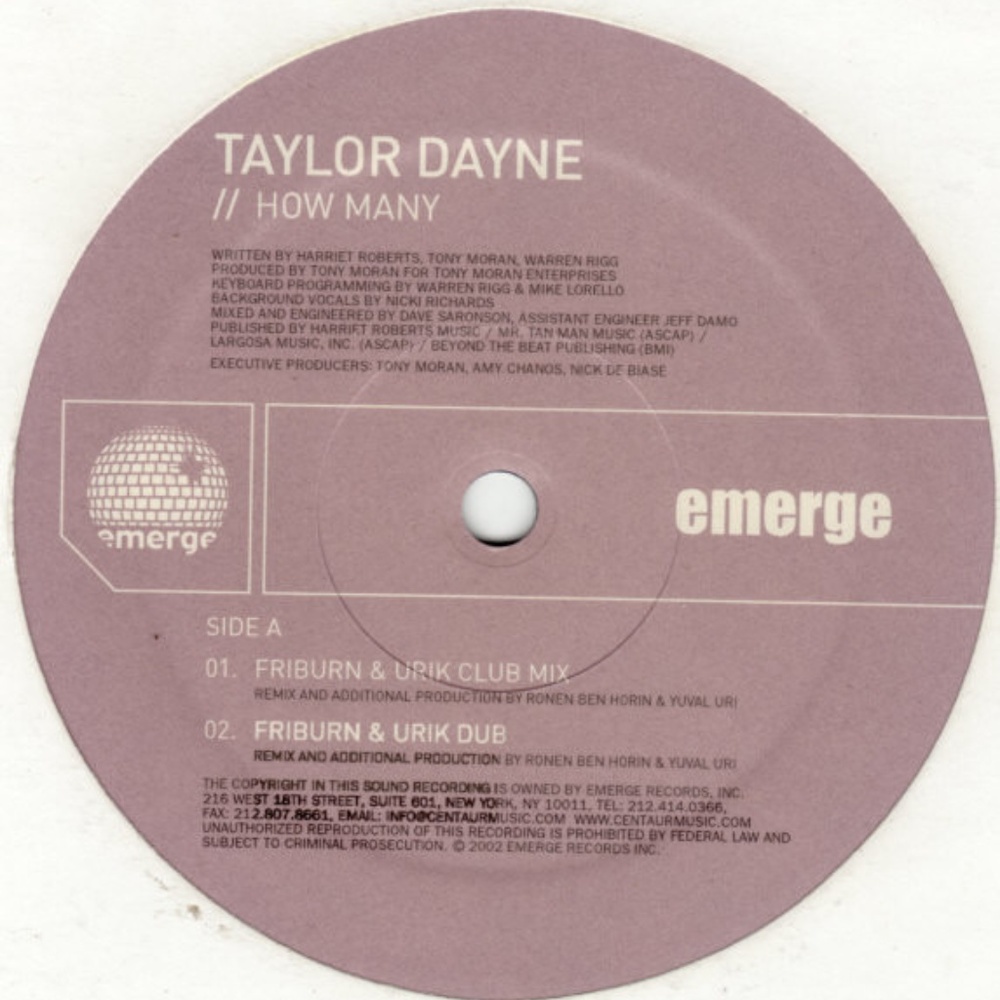 taylor dayne how many 2 12" dj dance club remix set - beautiful loser freestyle